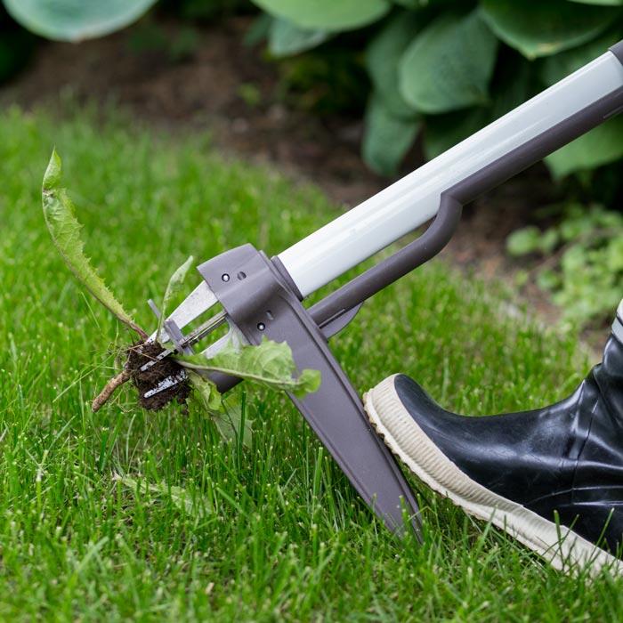 Eliminare le erbe infestanti dall'orto e giardino